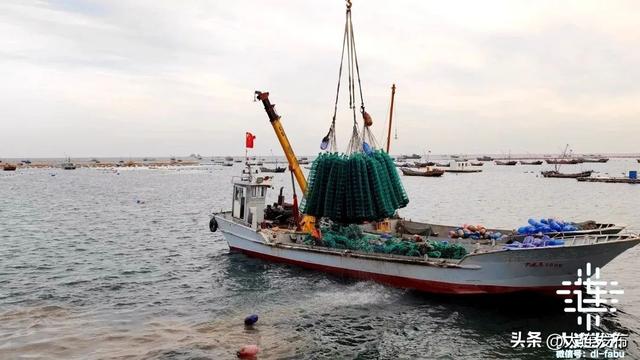 实地探访，大连“海上春耕”正忙