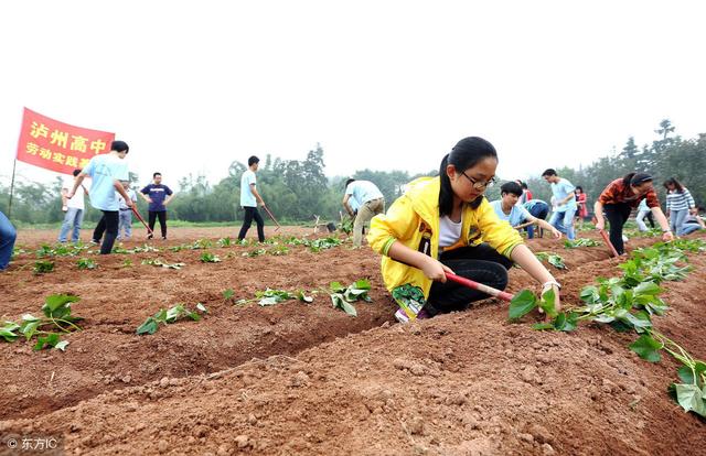 种植业如何跳出失败怪圈？3条路子送给你，建议收藏