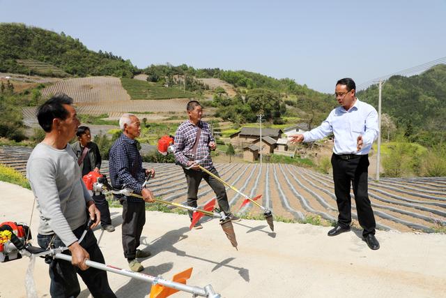 「春耕时节」竹山技术指导到田间