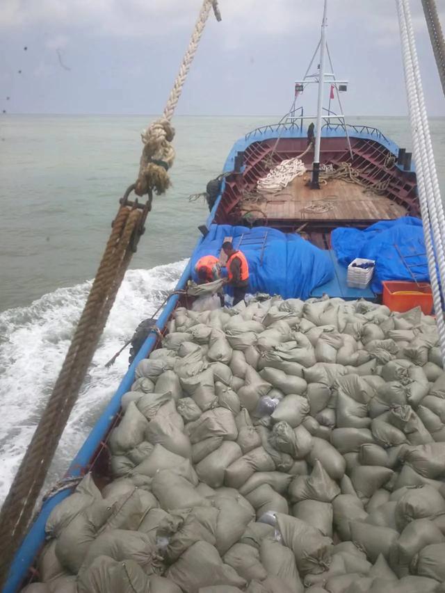 盐城金洋“苏海红”海蜇苗种独占全国鳌头