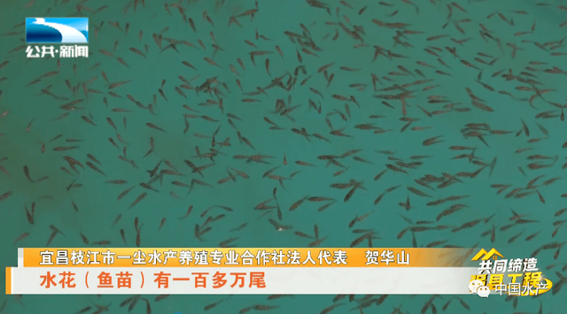 湖北全力以赴提升水产养殖产能，工厂化循环水养殖规模达196万m3