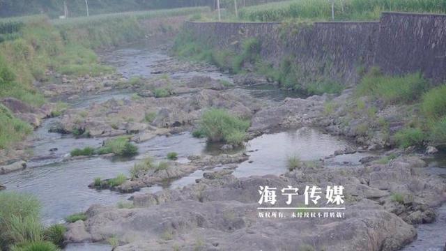 海宁驻山干部：勤跑腿多用心 扎进深山搭起“增收桥”