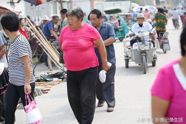 酷暑农村大集21张图，山东细狗500元一只，小女孩卖可爱的小猫