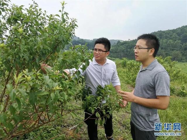 脱贫攻坚风采录.驻村干部周福波：“我不是来镀金的”