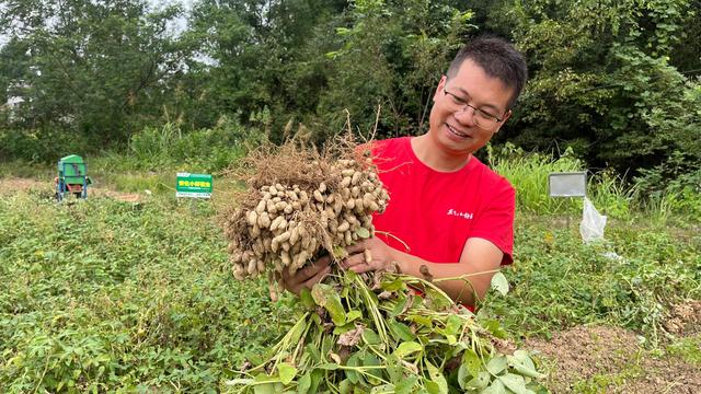 湖南茶油，产量和种植面积均居全球第一