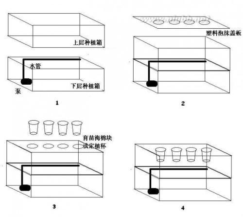 手把手教你在家做无土栽培蔬菜