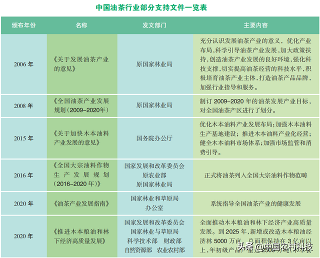 乡村振兴︱我国油茶加工的现状及发展建议