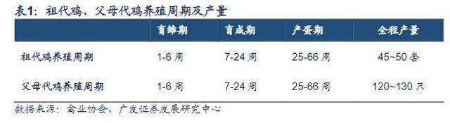 白羽鸡行业报告：全球育种双寡头格局，关注国产种鸡替代进程