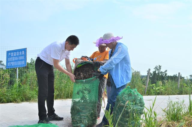 遂潼携手种白芷 架起群众“致富桥”