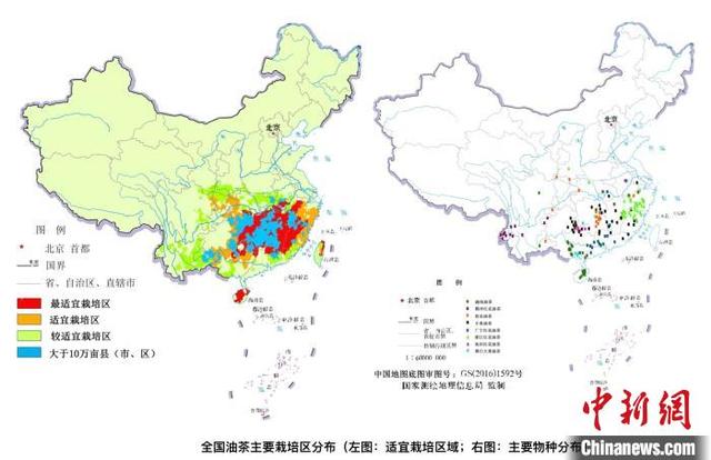 中国油茶产业快速发展 预计2035年综合产值超万亿元