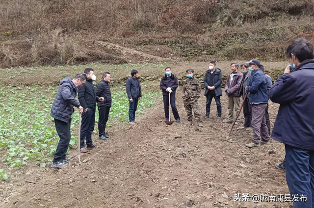 冬耕播种忙不停 “神仙草”种植基地初见形