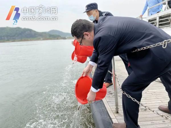 守护多样生物 看宁波如何让更多野生动植物平安“上岸”