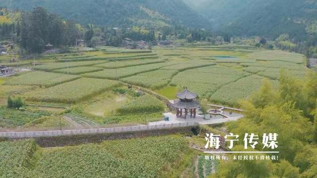 海宁驻山干部：勤跑腿多用心 扎进深山搭起“增收桥”