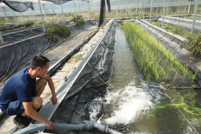 稻田、水蛭养殖场里的水蛭都快扛不住了，杭州消防员连续多日送去百吨水