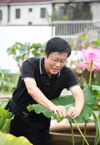 新农人·喜丰收③｜ 入藕花深处，遇上莲藕与芡实