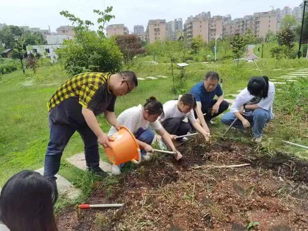 把课堂搬到药草园，湘潭医卫职院学子种植浙贝母获丰收