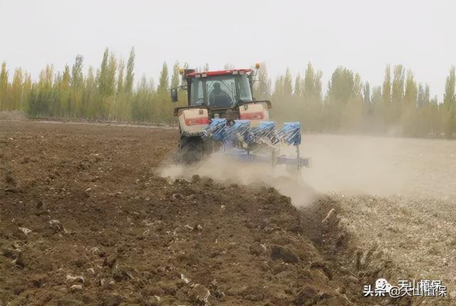 2021年棉花种植每亩地能赚2000元以上，你怎么看？