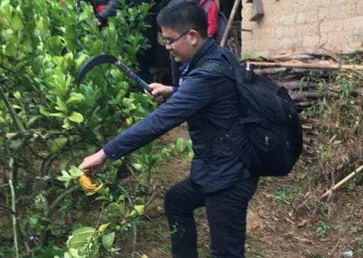 寻药肇庆！来一场色香味俱全的道地药材之旅