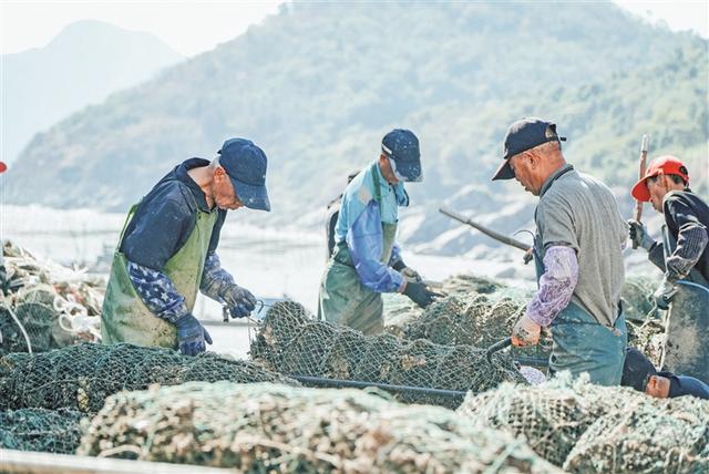 霞浦三沙：用好海资源 做好海文章