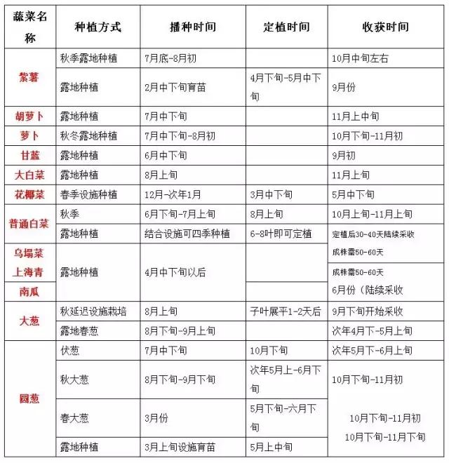 「最全」新农人应该知道的蔬菜高效栽培模式（附大棚种植时间表）