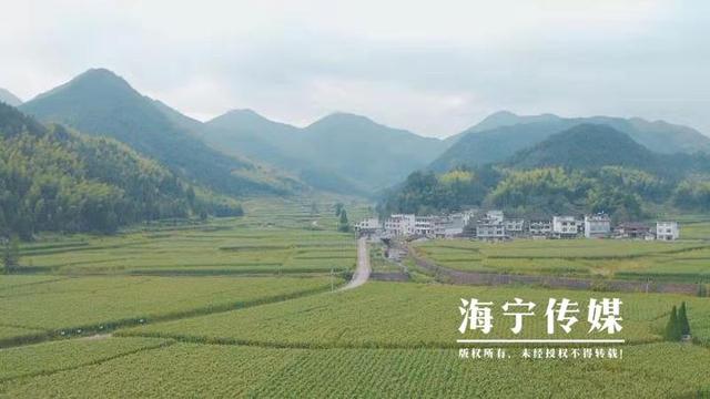 海宁驻山干部：勤跑腿多用心 扎进深山搭起“增收桥”