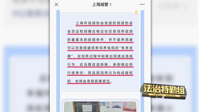 鸽棚证怎么就成扰民证？隔壁的鸽棚为何那么难拆