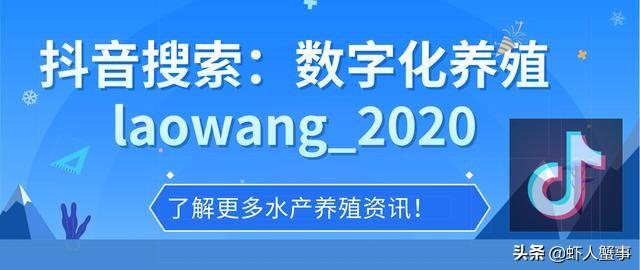 今年搞小龙虾养殖想赚钱？这五个问题没去关注就是天方夜谭