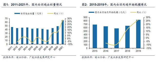 白羽鸡行业报告：全球育种双寡头格局，关注国产种鸡替代进程