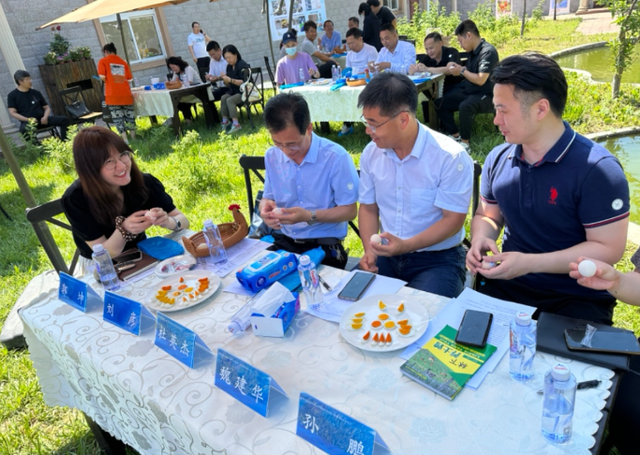 林下“溜达”鸡产出特种蛋，专家现场展示北京蛋鸡养殖新技术