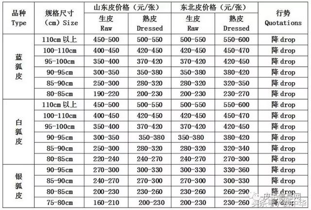 2017.11.9尚村皮毛市场行情动态