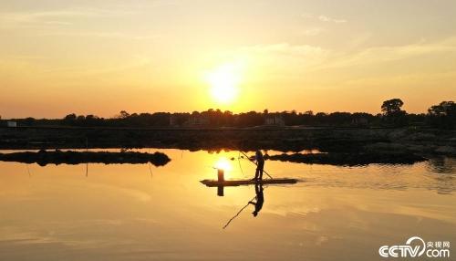 江西吉安：夕阳虾塘劳作忙