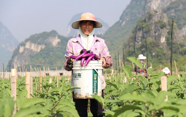 种什么？怎么种？卖给谁？“订单”模式成种植户“定心丸”