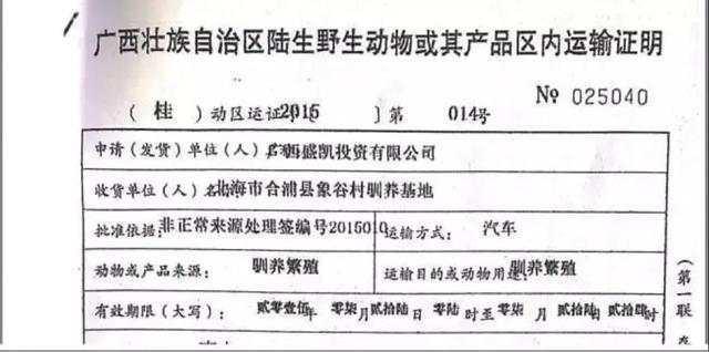 130只走私穿山甲被查获后，寄养在人工繁育机构全部“因救护失败死亡”