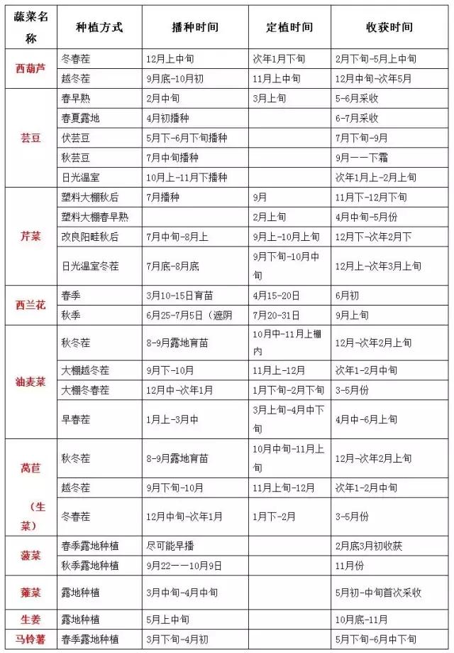 「最全」新农人应该知道的蔬菜高效栽培模式（附大棚种植时间表）