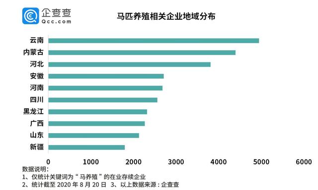 “英雄马”感动众多网友，数据显示我国马匹养殖企业云南最多