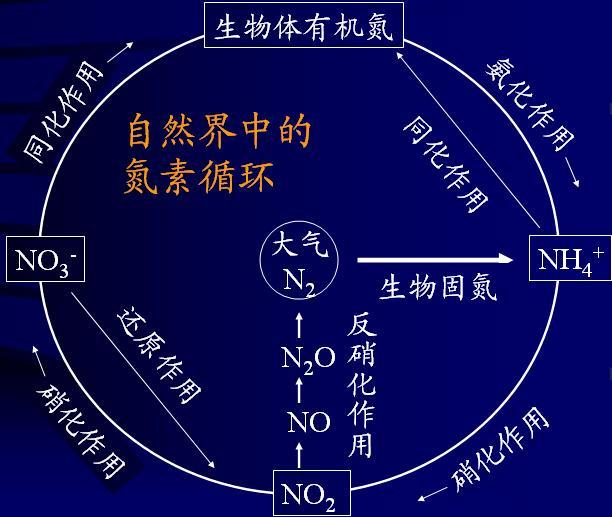 如何降解去除鱼缸中的氨氮、亚硝酸盐和硝酸盐？