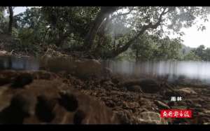 黄鳝养殖基地 海南(为了拍海南这些水下生物，摄制组可太难了)