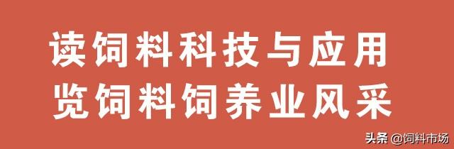 聚焦中国龙城，剖析特色畜牧——迅速崛起的诸城毛皮动物养殖业