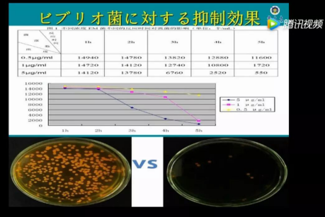 小龙虾养殖：调水不再是问题！你一直苦苦寻找的调水利器在这里