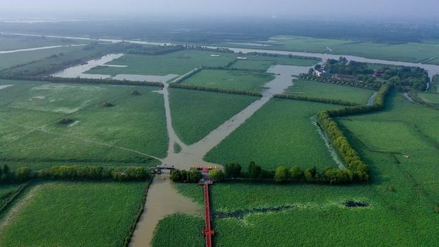 行走中国湿地城市｜济宁微山湖：鸥鹭翔集，一泓清水滋养鲁南“明珠”