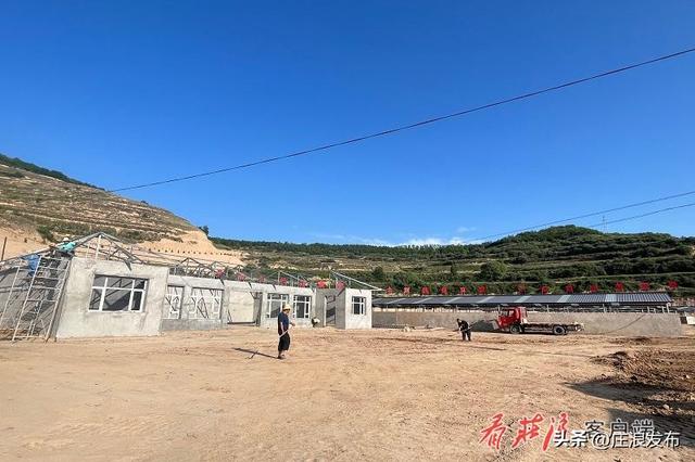 庄浪：赵墩乡2000头平凉红牛养殖基地建设项目 ——兴建“牛”项目 壮大牛产业