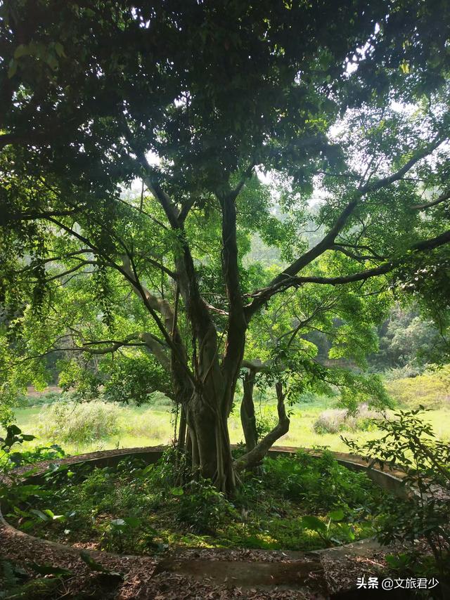 探访东莞大岭山马山仙境 寻找传说中的“龙抬头”