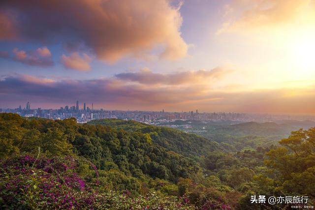 9月广东旅游好去处，广东秋天最美的10个景点，周边自驾游一日游