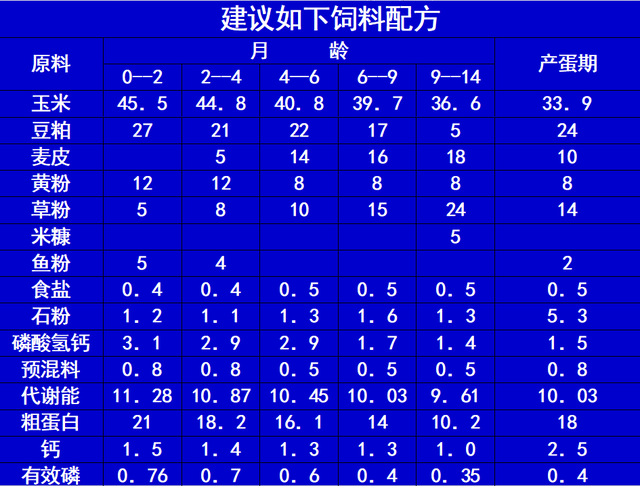 鸵鸟怎么养殖呢？三大鸵鸟选择哪一个品种最佳？