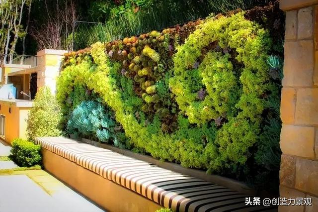 【造花园·植物墙】庭院种植新方式——植物上墙让庭院更美