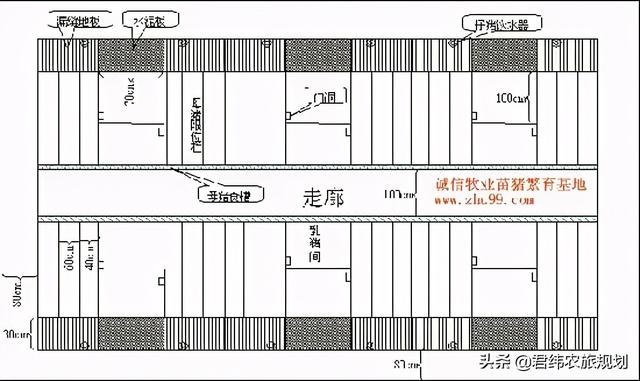 2021年现代化养猪场设计方案