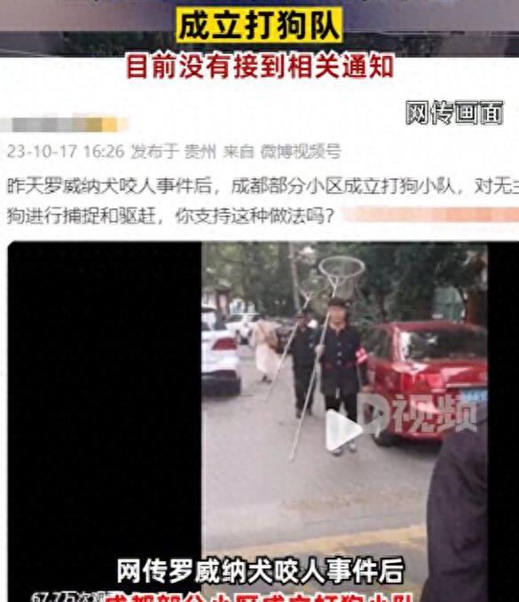 成都部分小区成立打狗队，爱狗人士坐不住了，称不能拿无辜狗泄愤