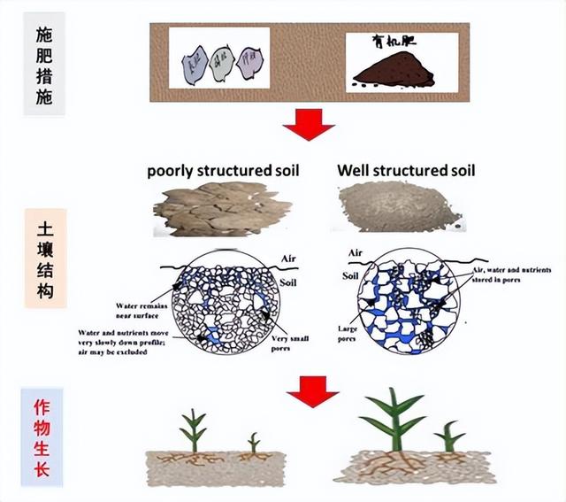 农作物种植对土壤结构的影响与恢复