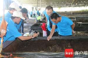 污泥养殖蚯蚓(三亚发展蚯蚓养殖促进农业生态循环引关注)