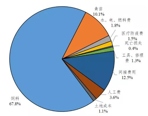 2021年度广东省家禽产销形势分析